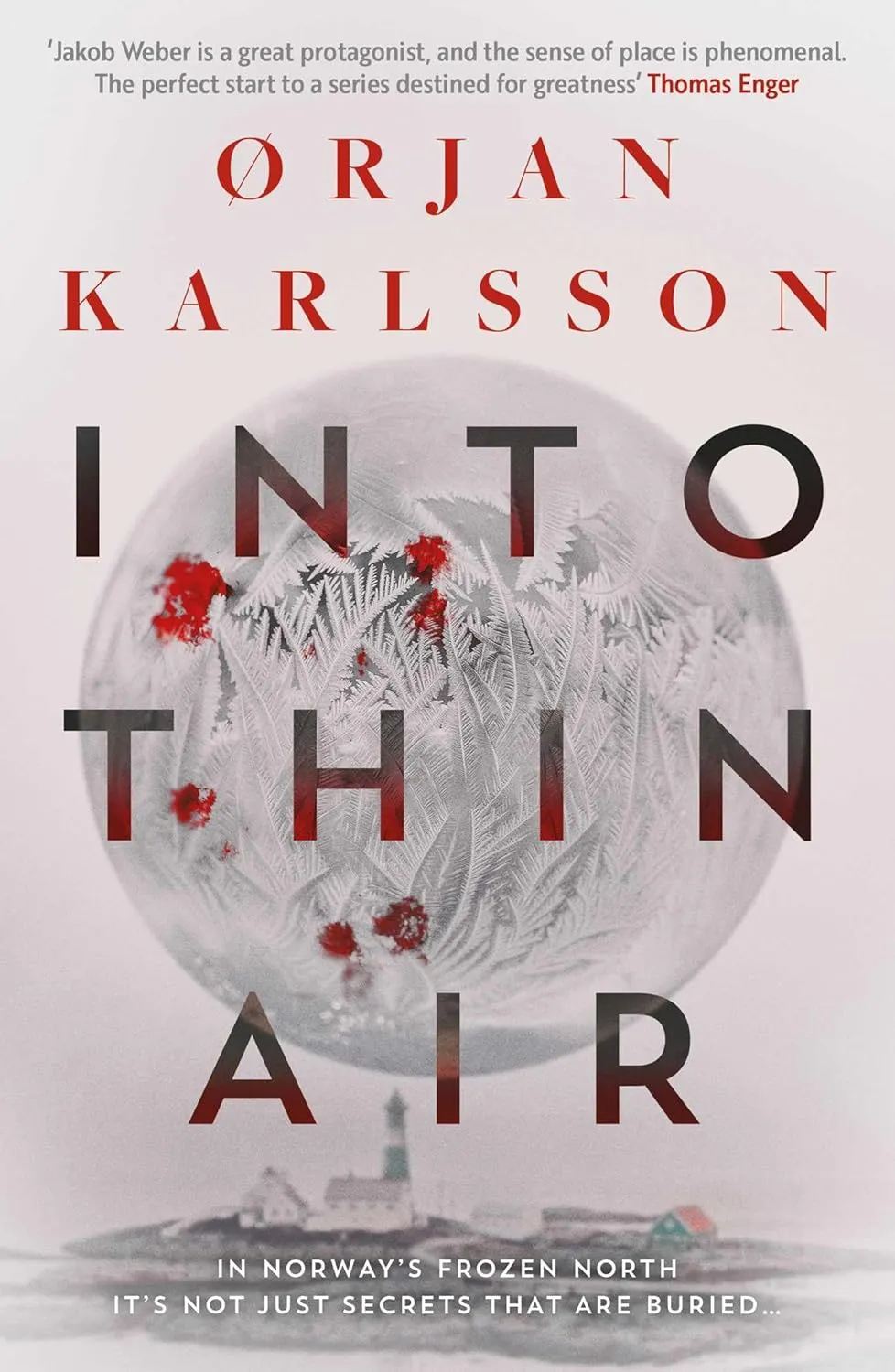 Into Thin Air: The atmospheric, chilling new Nordic Noir series (1) (The Arctic Mysteries) Paperback  June 24, 2025